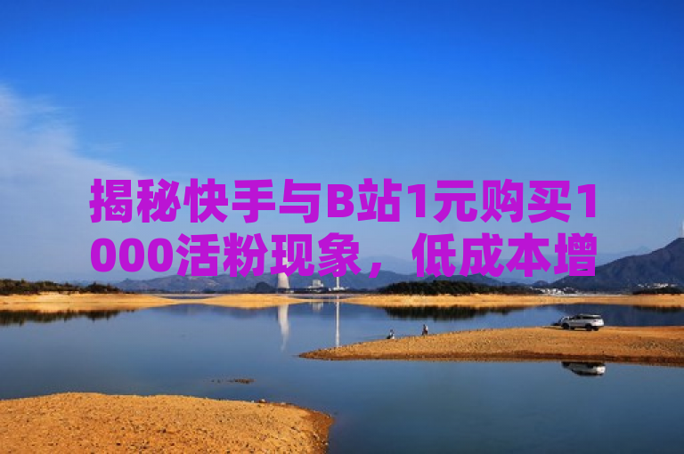 揭秘快手与B站1元购买1000活粉现象，低成本增粉背后的真相与风险，揭示了一种在快手和B站平台上以极低价格购买大量活跃粉丝的现象，并探讨了这种做法的可信度以及可能带来的影响。通过揭秘一词吸引读者注意，同时低成本增粉和真相与风险则提示了文章将深入分析这种服务的本质和潜在问题。