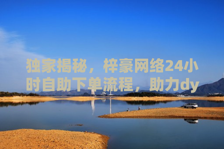 独家揭秘，梓豪网络24小时自助下单流程，助力dy快手业务低价涨粉