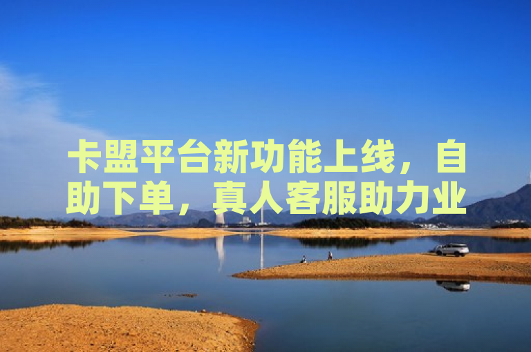 卡盟平台新功能上线，自助下单，真人客服助力业务办理