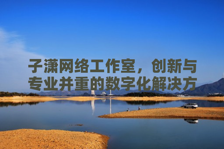 子潇网络工作室，创新与专业并重的数字化解决方案引领者