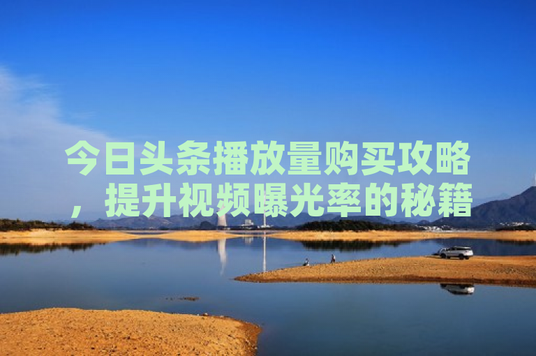 今日头条播放量购买攻略，提升视频曝光率的秘籍
