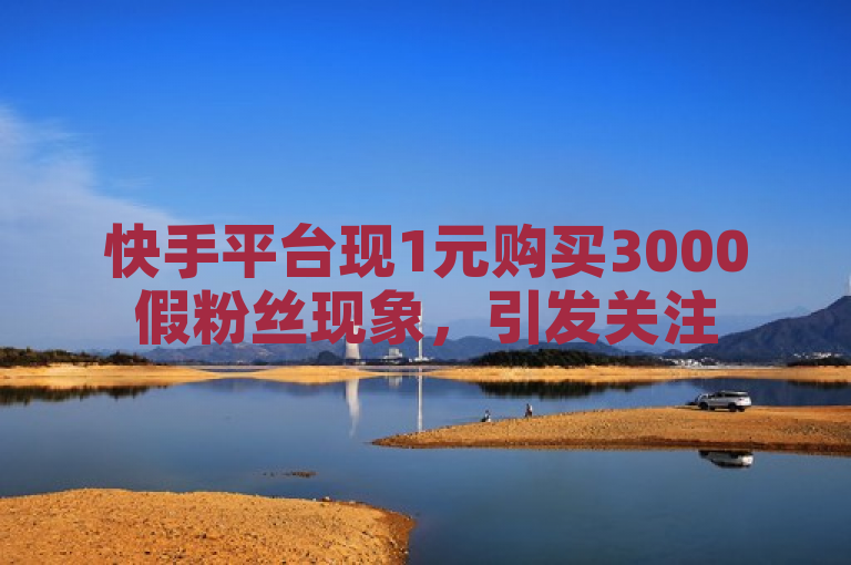 快手平台现1元购买3000假粉丝现象，引发关注