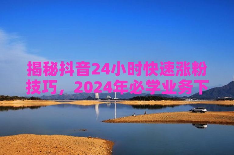 揭秘抖音24小时快速涨粉技巧，2024年必学业务下单策略