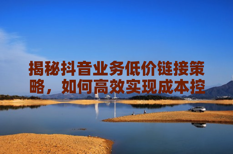 揭秘抖音业务低价链接策略,如何高效实现成本控制与市场拓展