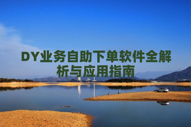 DY业务自助下单软件全解析与应用指南