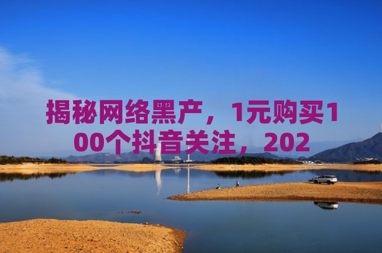 揭秘网络黑产，1元购买100个抖音关注，2025年快速增粉攻略曝光！