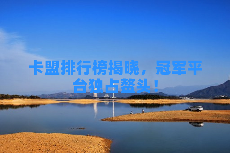 卡盟排行榜揭晓，冠军平台独占鳌头！