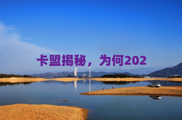 卡盟揭秘，为何2025年购买QQ号推荐使用其服务？