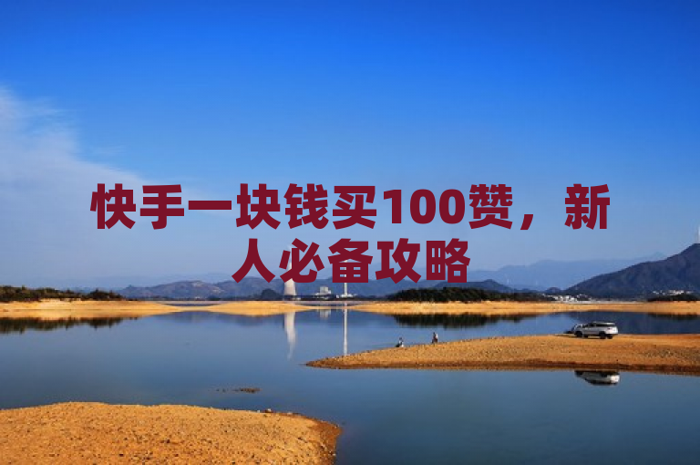 快手一块钱买100赞，新人必备攻略