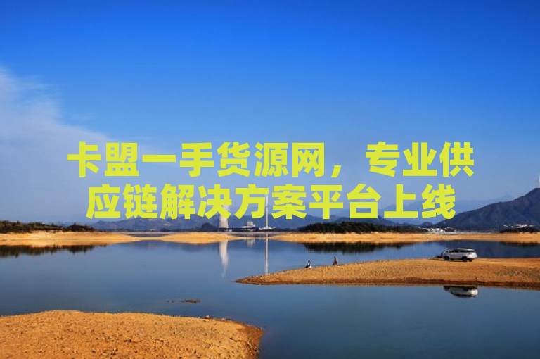 卡盟一手货源网，专业供应链解决方案平台上线