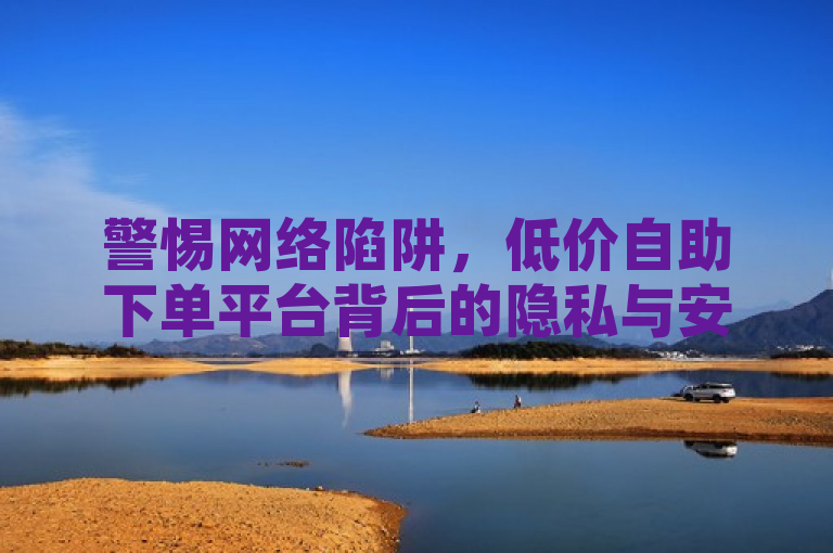 警惕网络陷阱，低价自助下单平台背后的隐私与安全风险，旨在提醒用户，尽管网络上存在许多声称提供全网最低价的自助下单服务，如QQ赞购买、Q币代充等，但这些平台可能存在安全隐患，比如输入邀请码可能导致通讯录被盗等风险。强调了用户在使用这类服务时应保持警惕，注意保护个人隐私和账户安全。