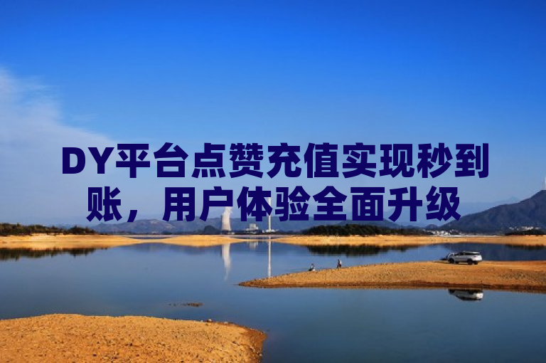 DY平台点赞充值实现秒到账，用户体验全面升级