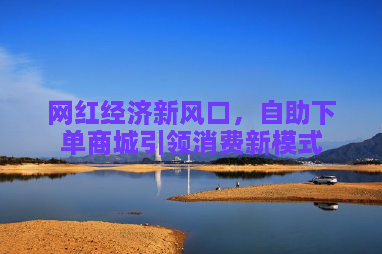 网红经济新风口，自助下单商城引领消费新模式
