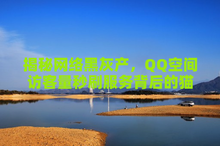 揭秘网络黑灰产，QQ空间访客量秒刷服务背后的猫腻，揭示了一种不正当的网上服务，即通过非正规手段快速增加QQ空间的访客数量。这种服务通常涉及利用机器人或虚假账户来人为地提高某个QQ空间的访客统计数据，以此满足客户的虚荣心或达到某种不明确的目的。然而，这样的行为不仅违反了社交平台的使用协议，还可能涉及到数据造假和网络安全问题。