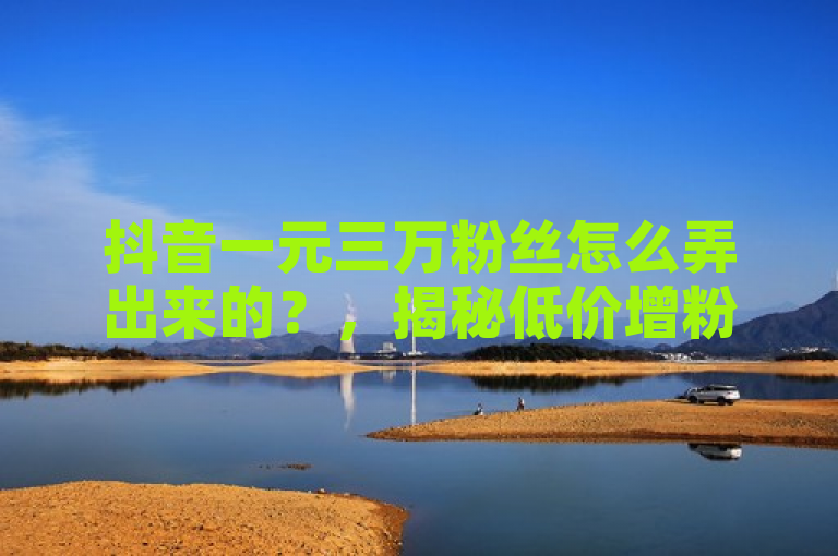 抖音一元三万粉丝怎么弄出来的？，揭秘低价增粉背后的风险与真相