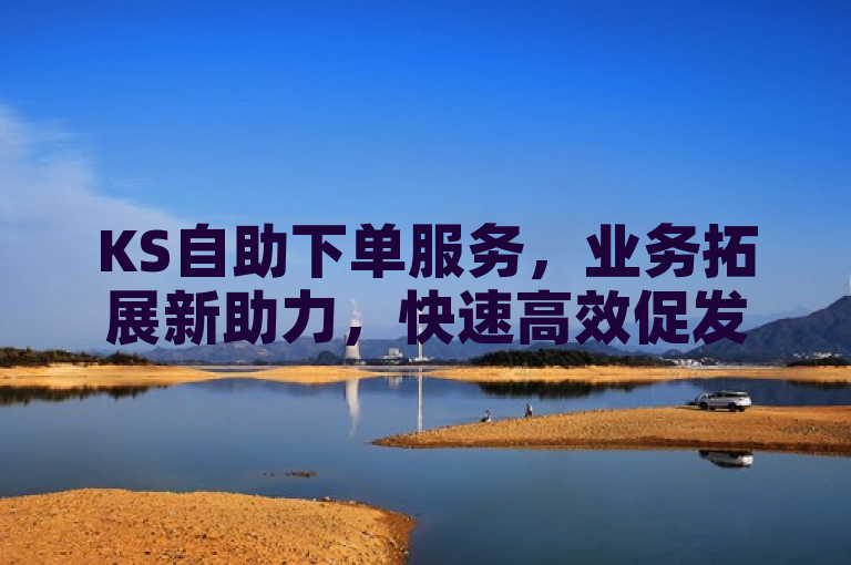KS自助下单服务，业务拓展新助力，快速高效促发展