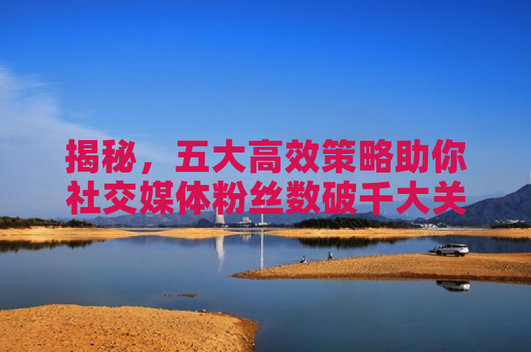揭秘，五大高效策略助你社交媒体粉丝数破千大关！