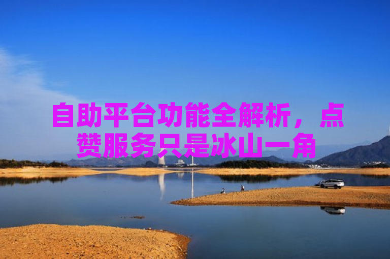 自助平台功能全解析，点赞服务只是冰山一角