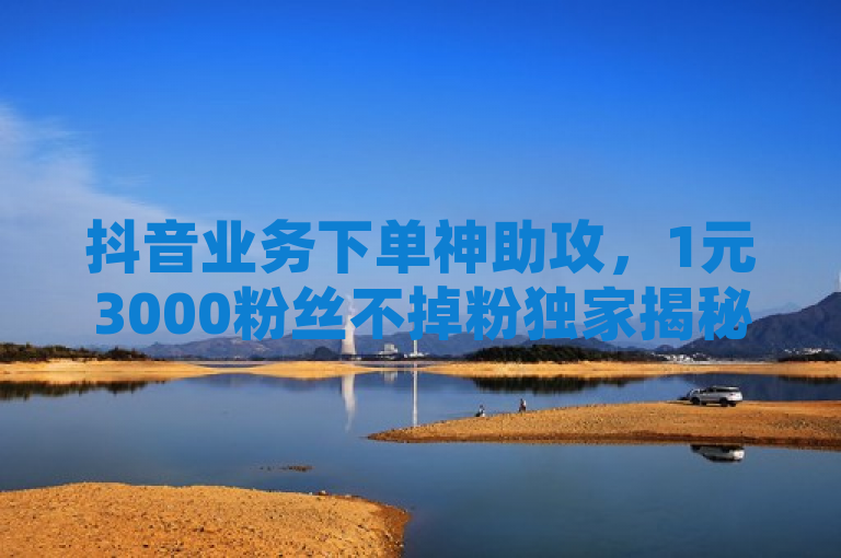 抖音业务下单神助攻，1元3000粉丝不掉粉独家揭秘，揭示了一个引人注目的现象，在ks平台，出现了全网最低价的抖音业务下单服务，声称只需1元就能增加3000个粉丝，并且这些粉丝不会掉粉。这样的服务无疑吸引了大量希望快速提升抖音账号影响力的用户。