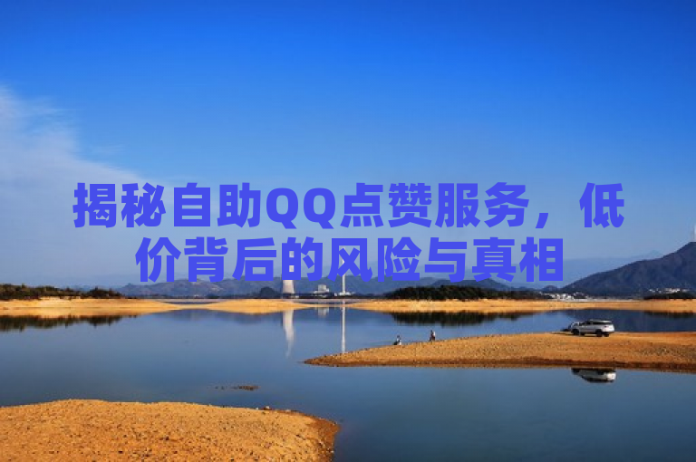 揭秘自助QQ点赞服务，低价背后的风险与真相
