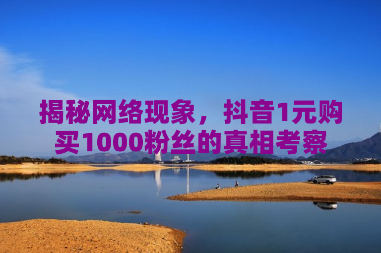 揭秘网络现象，抖音1元购买1000粉丝的真相考察
