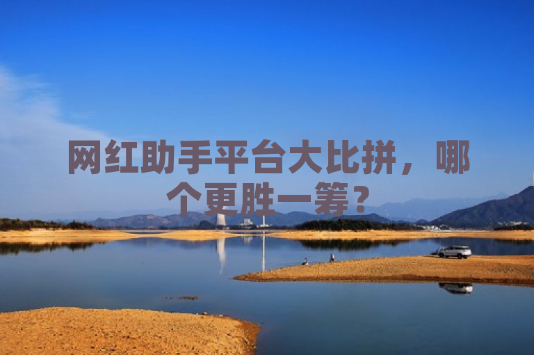 网红助手平台大比拼，哪个更胜一筹？