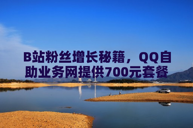 B站粉丝增长秘籍，QQ自助业务网提供700元套餐，拼多多用户询问成功率