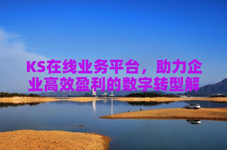 KS在线业务平台，助力企业高效盈利的数字转型解决方案