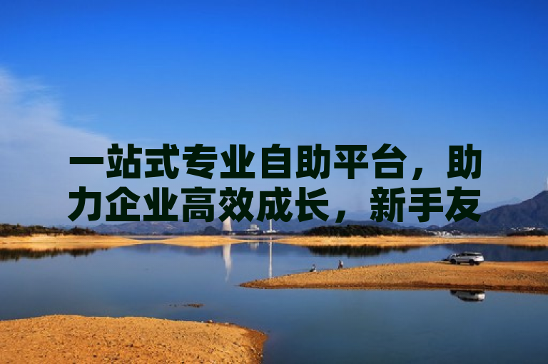 一站式专业自助平台，助力企业高效成长，新手友好的必备工具！