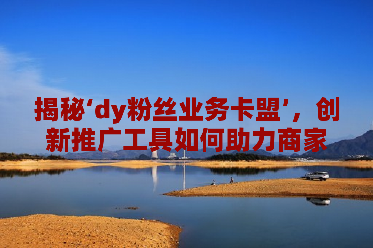 揭秘‘dy粉丝业务卡盟’，创新推广工具如何助力商家流量飙升
