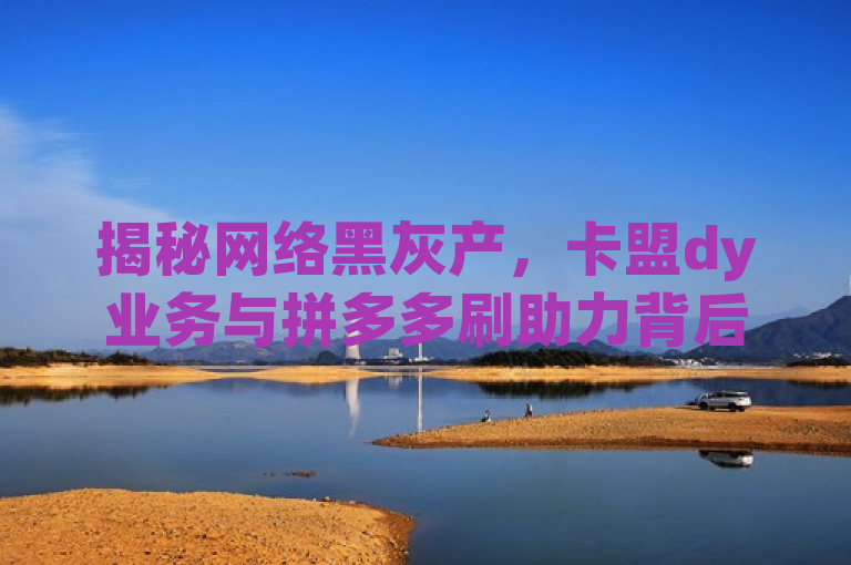揭秘网络黑灰产，卡盟dy业务与拼多多刷助力背后的风险与机遇，揭示了卡盟dy业务和拼多多刷助力这两个网络现象，暗示了它们背后可能隐藏的风险以及带来的所谓机遇。同时，将两者放在一起讨论，可以吸引读者关注并深入了解这些网络活动的真实面貌。