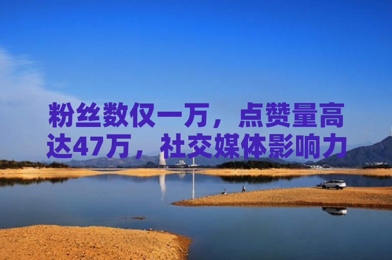 粉丝数仅一万，点赞量高达47万，社交媒体影响力能否转化为实质收益？