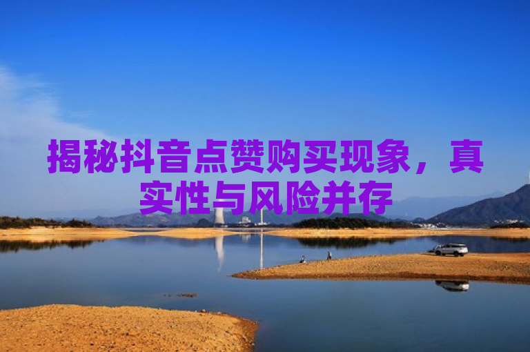 揭秘抖音点赞购买现象,真实性与风险并存