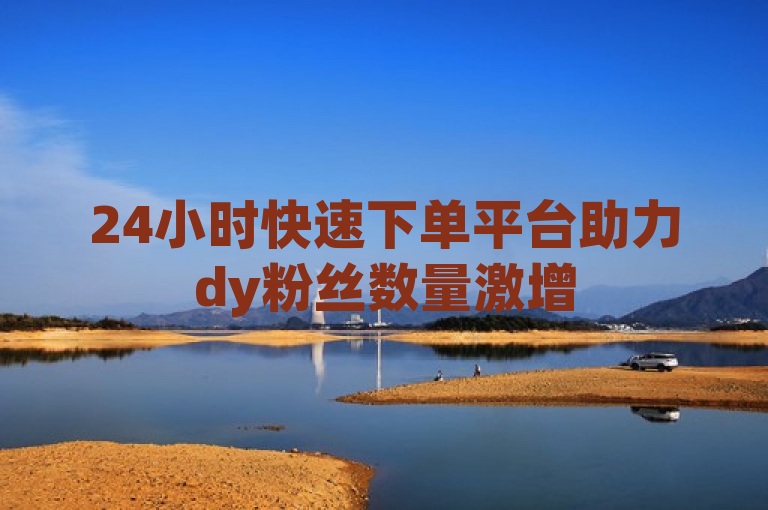 24小时快速下单平台助力dy粉丝数量激增