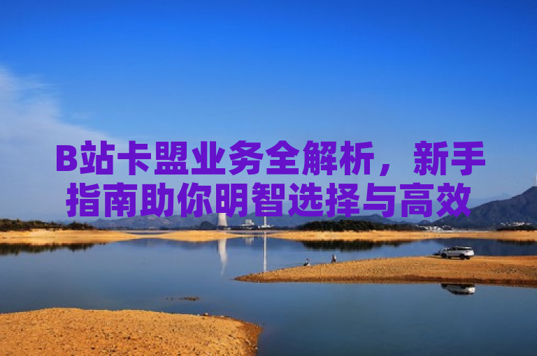 B站卡盟业务全解析，新手指南助你明智选择与高效使用！
