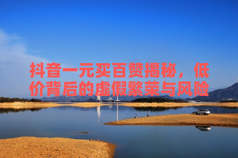 抖音一元买百赞揭秘，低价背后的虚假繁荣与风险警示