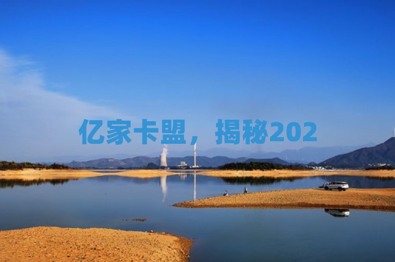 亿家卡盟，揭秘2025年财富增长新策略，必学秘籍大公开！