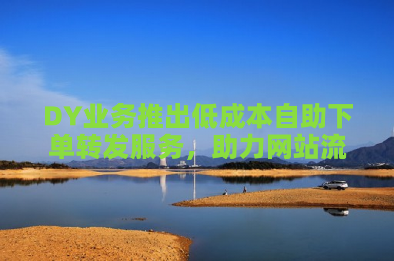 DY业务推出低成本自助下单转发服务，助力网站流量和搜索排名飙升