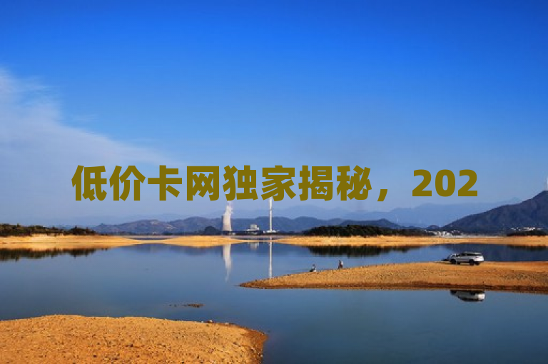 低价卡网独家揭秘，2025必学的流量卡选择技巧