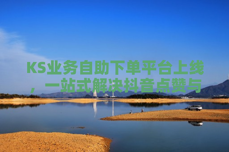 KS业务自助下单平台上线，一站式解决抖音点赞与钱包开通难题