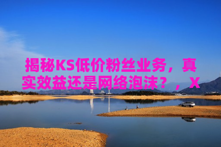 揭秘KS低价粉丝业务，真实效益还是网络泡沫？，XXXX网 XXXX年XX月XX日，近日，关于KS低价粉丝业务引发广泛讨论。该业务通过低成本增加用户粉丝量，但真实性和长期效果遭质疑。业内专家表示，此类服务可能违反平台规定，影响账号可信度及长期发展。负责人强调，应注重内容质量和真实互动，以合法方式提高影响力。，（XXX报道）
