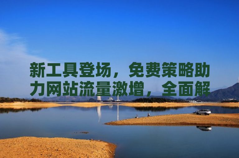 新工具登场，免费策略助力网站流量激增，全面解析访客增强方案