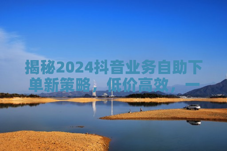 揭秘2024抖音业务自助下单新策略，低价高效，一键提升曝光率！