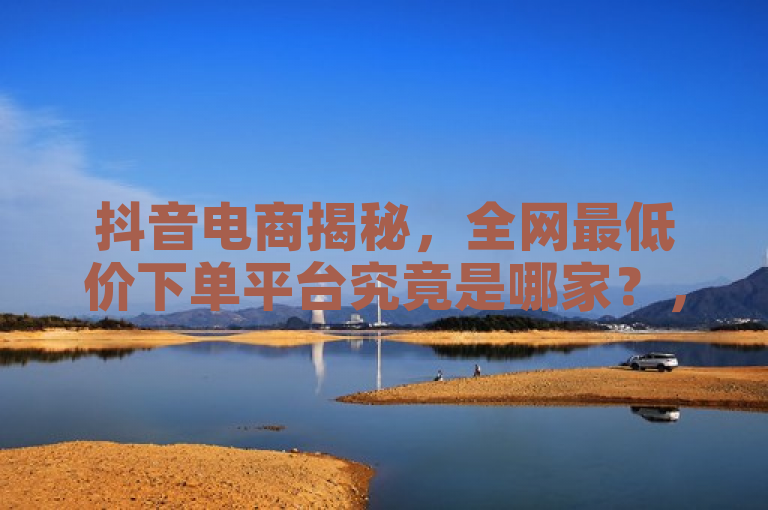 抖音电商揭秘，全网最低价下单平台究竟是哪家？，旨在吸引读者关注，揭示在抖音电商平台上，哪个平台能提供最具竞争力的价格。通过提问的形式，激发用户的好奇心，引导他们进一步了解详情。