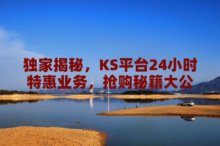 独家揭秘，KS平台24小时特惠业务，抢购秘籍大公开！
