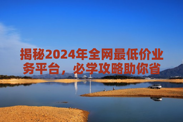 揭秘2024年全网最低价业务平台，必学攻略助你省钱大作战！
