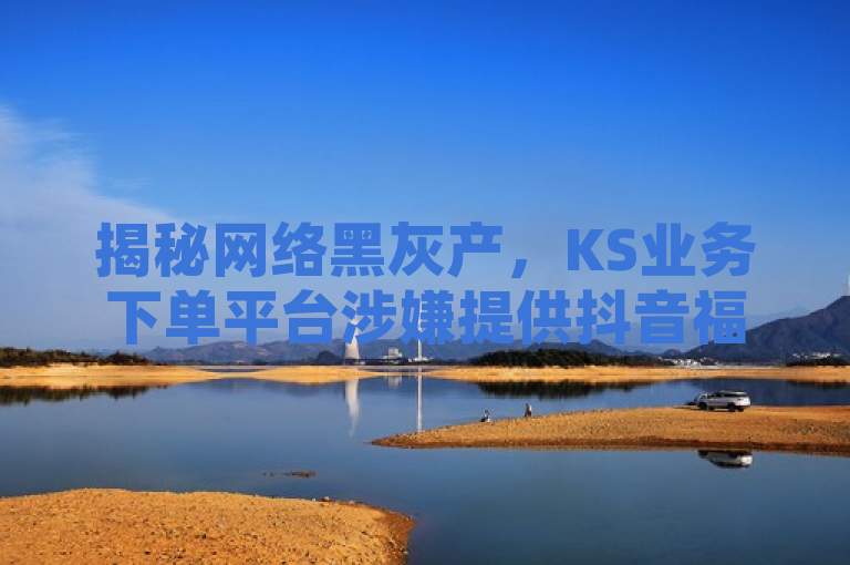 揭秘网络黑灰产，KS业务下单平台涉嫌提供抖音福袋必中脚本与小号批发服务