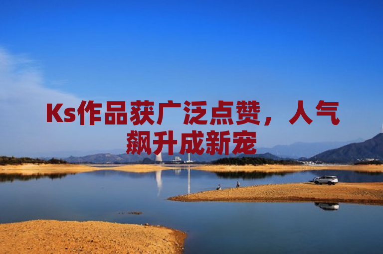 Ks作品获广泛点赞，人气飙升成新宠