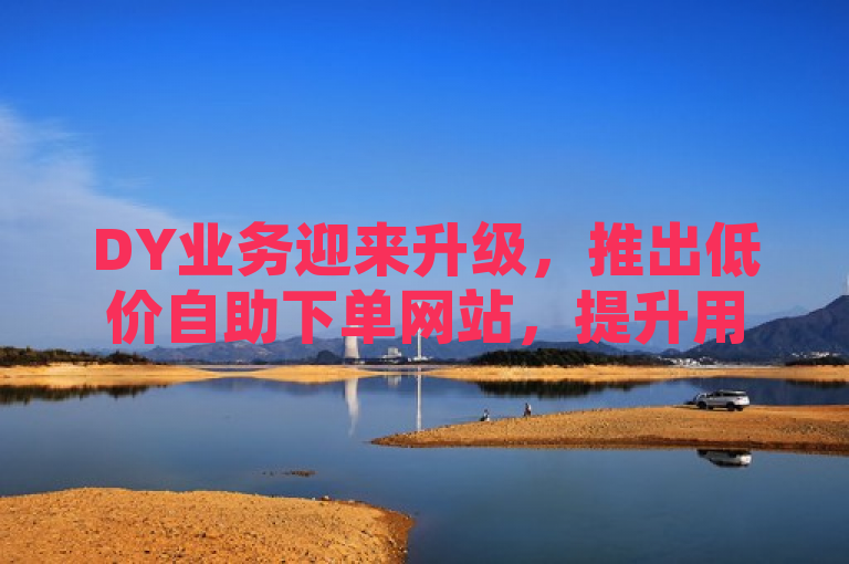 DY业务迎来升级，推出低价自助下单网站，提升用户体验