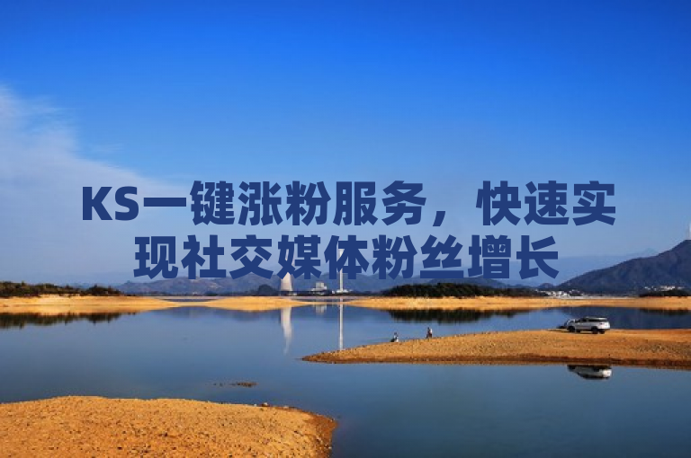 KS一键涨粉服务，快速实现社交媒体粉丝增长